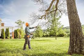 Best Tree Maintenance Programs  in Tahoma, CA